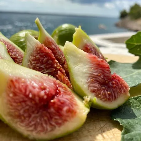 Porat Starigrad Paklenica