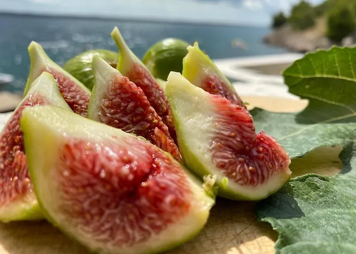 Porat Starigrad Paklenica